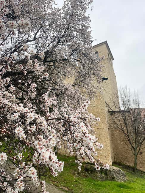 From Madrid: Trip to Cuenca and the Brihuega Lavender Fields - Visiting Brihuega: Village Charm and Lavender