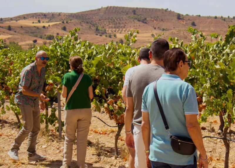 From Madrid: Visit Cuenca and a vineyard in the Spanish Tuscany - Discovering Cuenca’s Casas Colgadas and the Old Convent