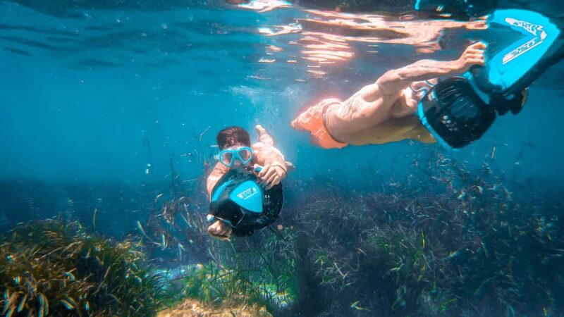 From Magaluf: Palma Bay Sightseeing Cruise with Live Music - Secluded Coves for Swimming and Relaxation