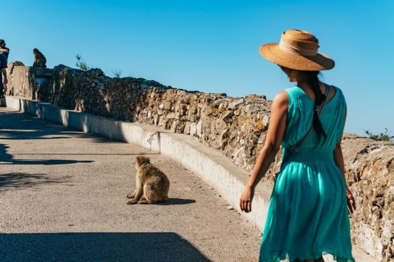 From Malaga and Costa del Sol: Gibraltar Tour - Key Points