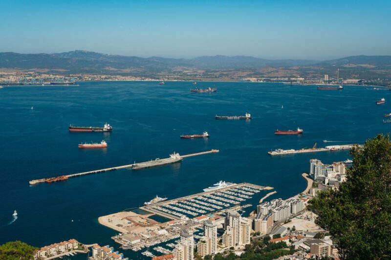 From Malaga and Costa del Sol: Gibraltar Tour - The Guide and Driver: Knowledgeable and Friendly