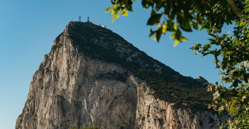 From Malaga and Costa del Sol: Gibraltar Tour - Options for a Full-Day Adventure