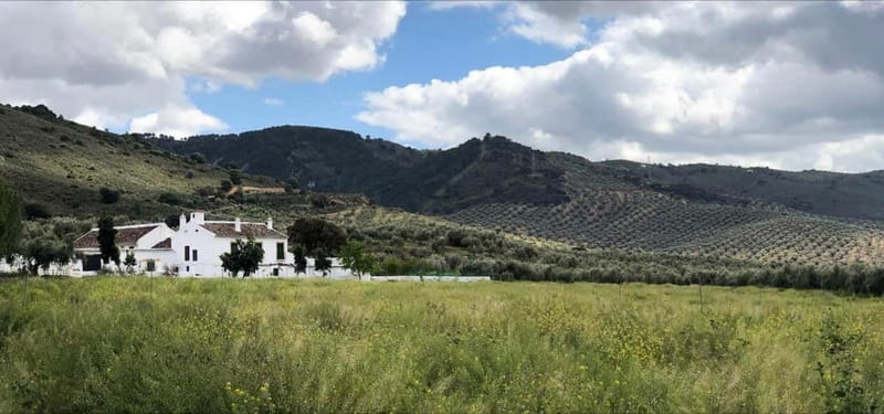 From Malaga: Antequera Heritage and Oil Mill land - Key Points