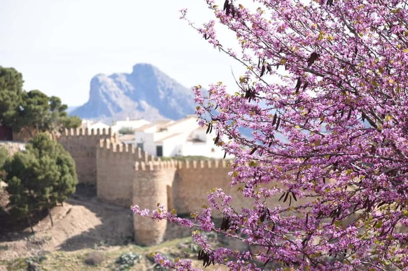 From Malaga: Antequera Heritage and Oil Mill land - Exploring the UNESCO World Heritage City of Antequera