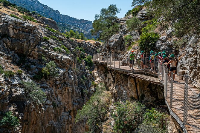 From Malaga Caminito del Rey Guided Tour with transportation - The Tours Overall Value and Suitability