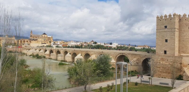 From Malaga: Cordoba Day Trip and Mosque-Cathedral - The Journey Between Malaga and Córdoba