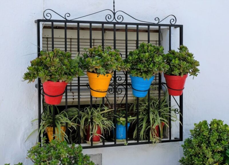 From Málaga /Costa del Sol: Trip to Nerja & Frigiliana - Key Points