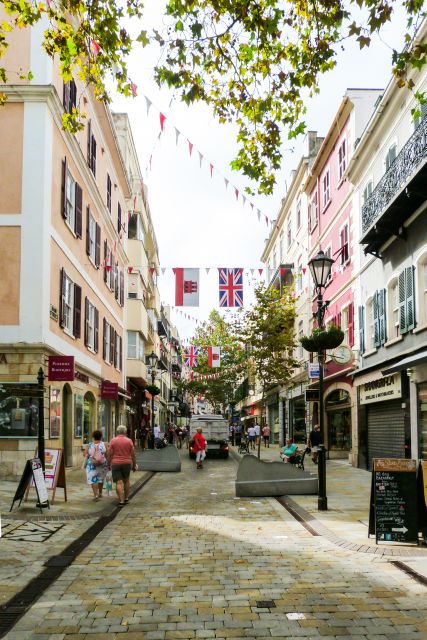From Malaga: Day trip to Gibraltar and Dolphin Boat Tour - The Dolphin Boat Tour: Up to Three Dolphin Species in Action