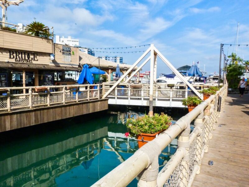 From Malaga: Day trip to Gibraltar and Dolphin Boat Tour - Post-Boat Free Time and Lunch Options in Gibraltar