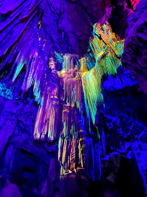 From Malaga: Day Trip to Gibraltar - Free Time for Shopping and Local Cuisine