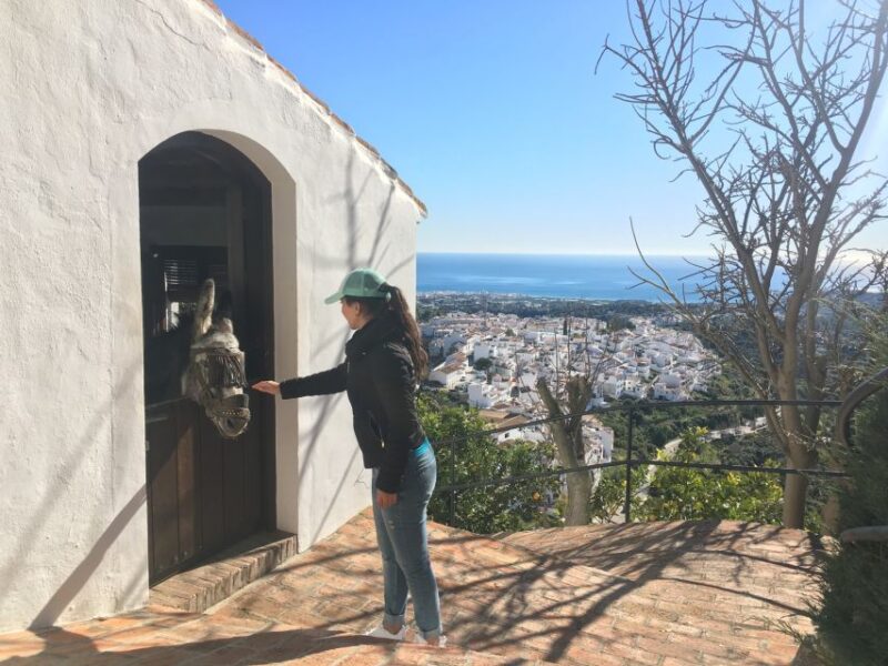 From Málaga: Frigiliana Hiking Tour with Wine & Appetizers - The Charm of Frigiliana Village: A Walk Through Beauty