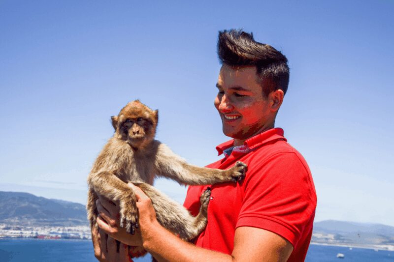 From Malaga: Full-Day Trip to Gibraltar - Starting Point and Transportation from Malaga