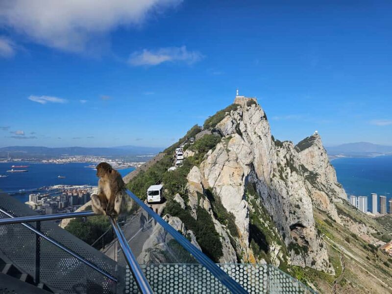 From Malaga: Gibraltar and Tangier Private Day Trip - Discover Gibraltar and Tangier on a Private Day Trip from Malaga