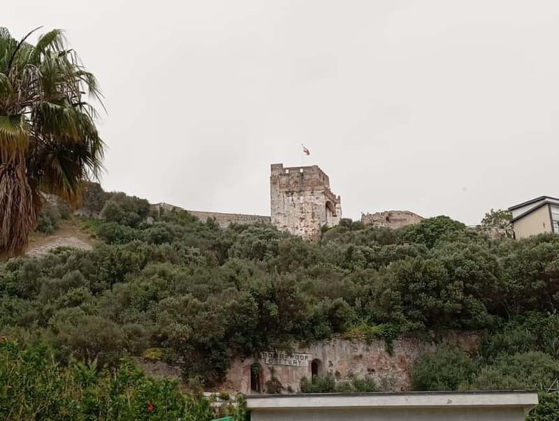 From Málaga: Gibraltar Day Trip - Exploring Gibraltar’s Town and Shopping