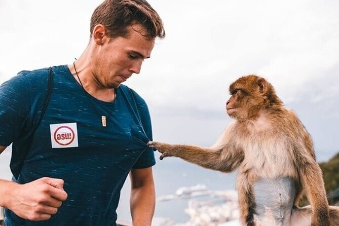 From Malaga, Gibraltar excursion with transport - The Quality of the Guides and Overall Experience