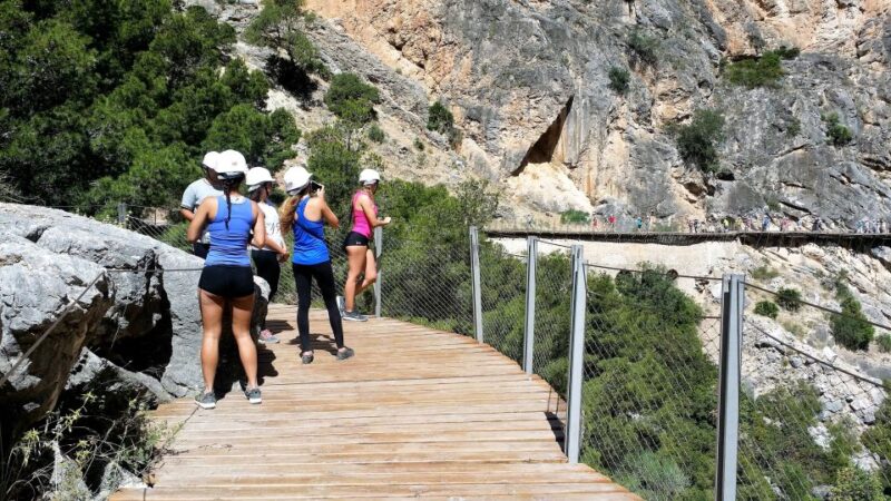 From Malaga: Group Tour to Caminito del Rey - Return Journey and Overall Experience