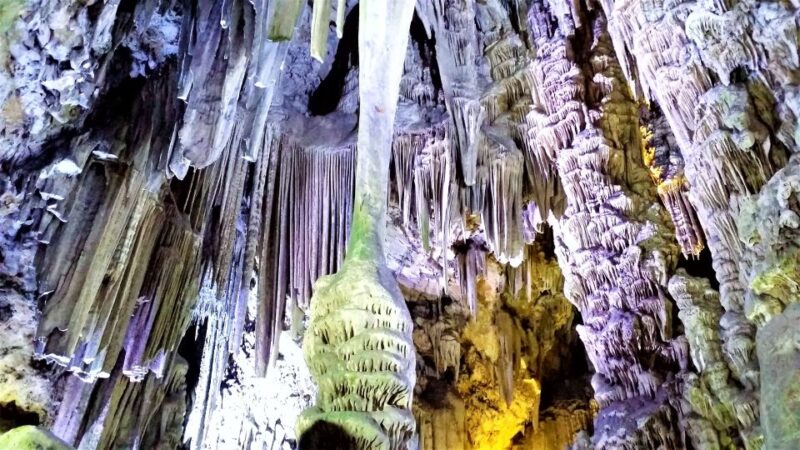 From Málaga or Marbella: Private Gibraltar Tour - Comparing the Half-Day and Full-Day Tour Options