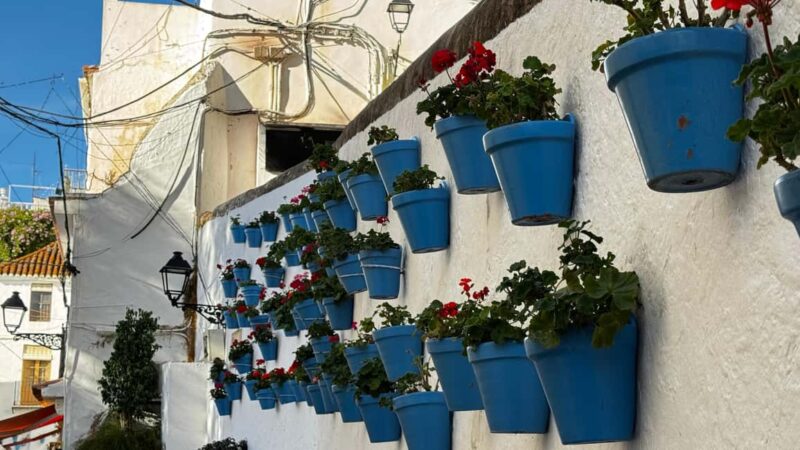 From Málaga: Private Marbella Old Town Luxury Tesla X Tour - Marbella’s Old Town and Coastal Views in a Luxurious Setting