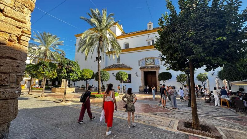 From Málaga: Private Marbella Old Town Luxury Tesla X Tour - Suitable for Those Who Value Comfort and Privacy