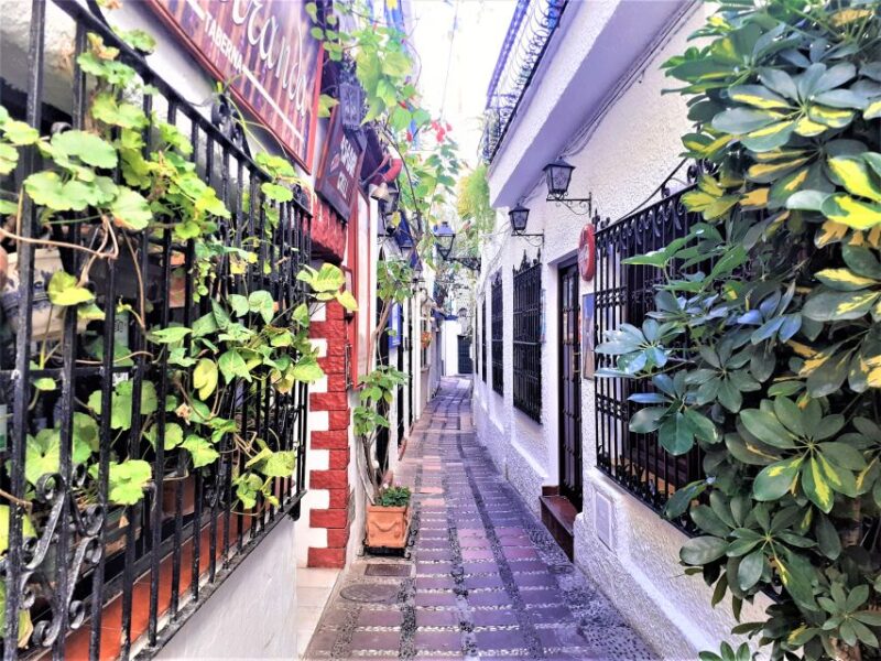 From Malaga: Private Tour in Marbella - Free Time for Shopping and Brunch