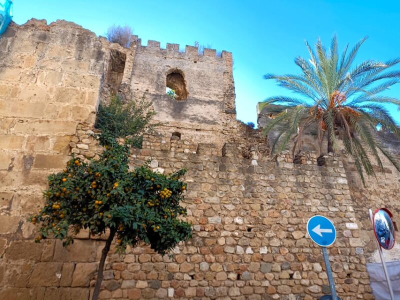 From Malaga: Private Tour in Marbella - Who Should Consider This Tour?