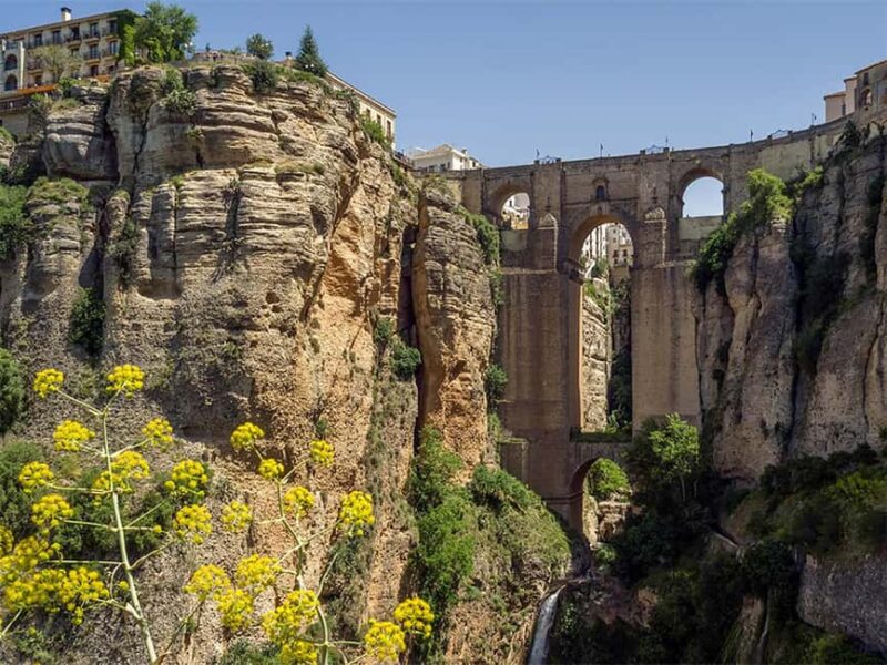 From Malaga: Private Tour to Ronda + LA Almazara EcoExperience Oleoturismo - Logistics and Meeting Details for a Smooth Day