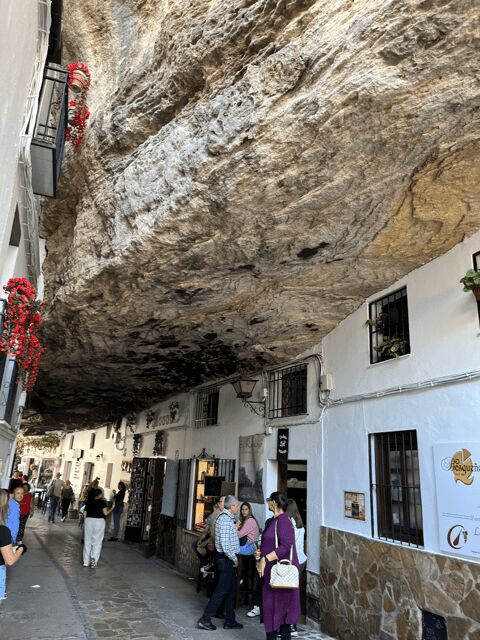 From Malaga: Ronda and Setenil de las Bodegas Day Trip - Practical Tips for Participants