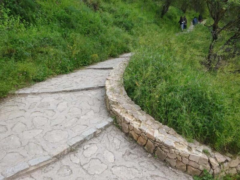 From Malaga: Ronda y Setenil de la Bodegas Day Trip by coach - Key Points