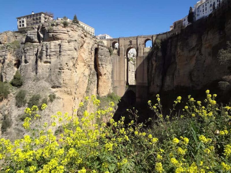 From Malaga: Ronda y Setenil de la Bodegas Day Trip by coach - Practical Considerations: What to Bring and Accessibility