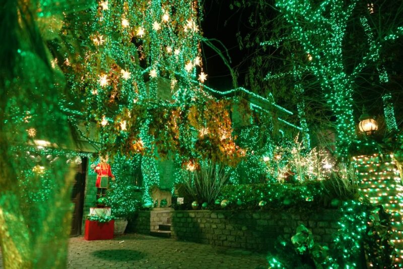 From Manhattan: 4-Hour Christmas Lights Luxury Bus Tour - Analyzing the Experience: Pros and Cons