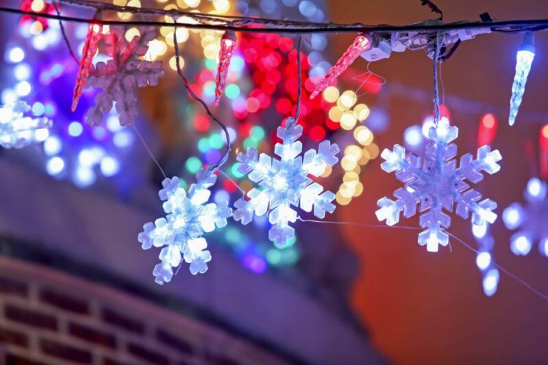 From Manhattan: Dyker Heights Holiday Bus Tour - Audience and Accessibility Considerations