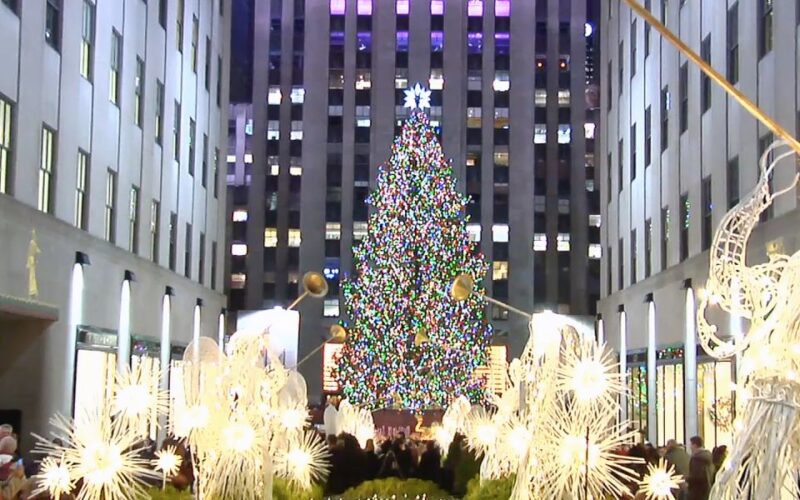 From Manhattan: Dyker Heights Holiday Bus Tour - Comparing This Tour to Others in Its Class