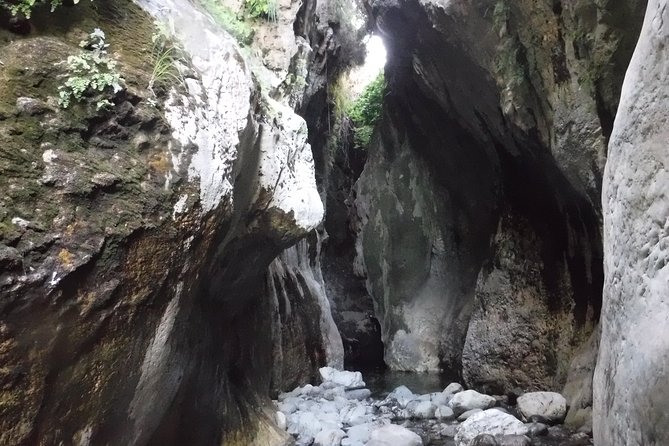 From Marbella: Canyoning Tour in Guadalmina Canyon - Activities and Highlights of the Canyoning Route