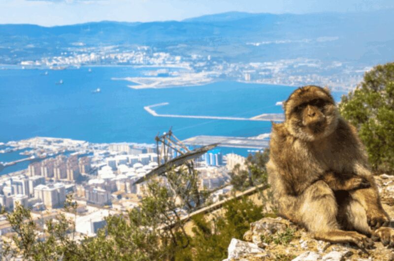 From Marbella: Gibraltar Private Day Trip with Local Guide - Discover Gibraltar on a Private Day Trip from Marbella