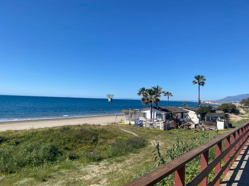 From Marbella: Guided Bicycle Tour to Puerto Banús - Who Will Enjoy This Tour Most?