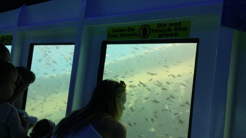 From Marmaris: Day Trip by Glass Bottom Semi Submarine - Sunbathing and Resting on Deck