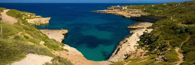 From Marsaxlokk: St Peter's Pool Boat Tour - The Experience of the Guides and Customer Service