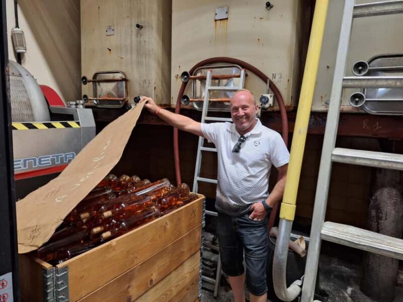 From Marseille: Bandol/Cassis Wine Tour with Viewpoint - Key Points