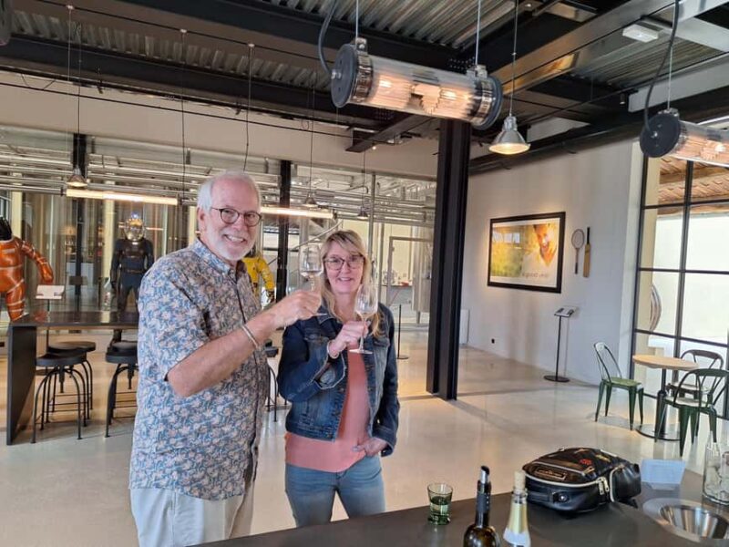 From Marseille: Bandol/Cassis Wine Tour with Viewpoint - Logistics: Pickup, Duration, and Group Size