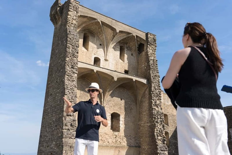 From Marseille Cruise Port : Avignon & Wine Tasting - Key Points