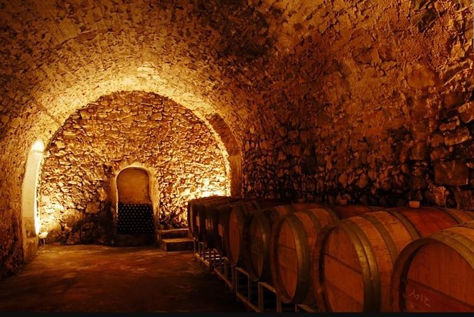 From Marseille : Sidecar Wine Tour to Cassis and Bandol - Discovering Marseille’s Historic Heart and Vibrant Districts