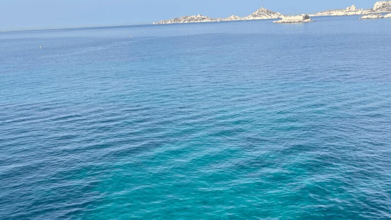 From Marseille to Cassis: a journey to the heart of the calanques and traditions. - The Route and Stops: A Balanced Mix of Heritage and Nature