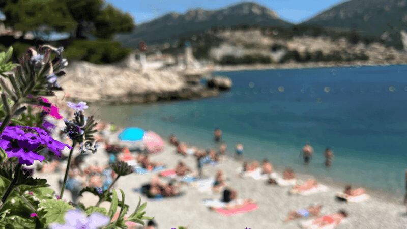 From Marseille to Cassis: a journey to the heart of the calanques and traditions. - Practical Details: Transport, Group Size, and Comfort