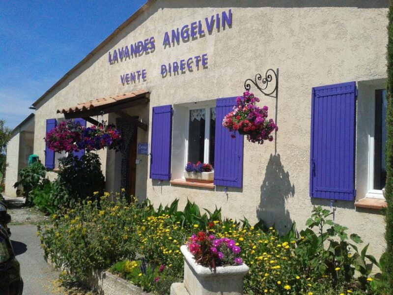 From Marseille: Valensole Lavenders Tour from Cruise Port - Flexibility and Cancellation Policies