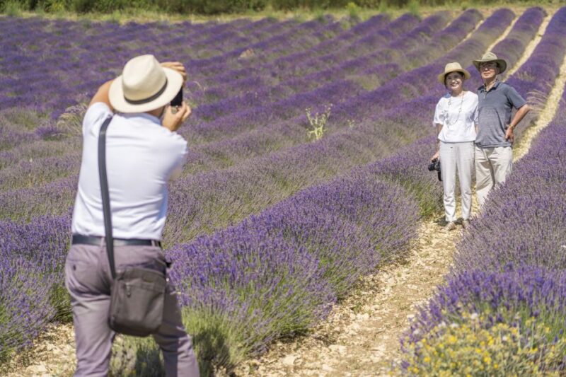 From Marseille: Valensole Lavenders Tour from Cruise Port - Frequently Asked Questions