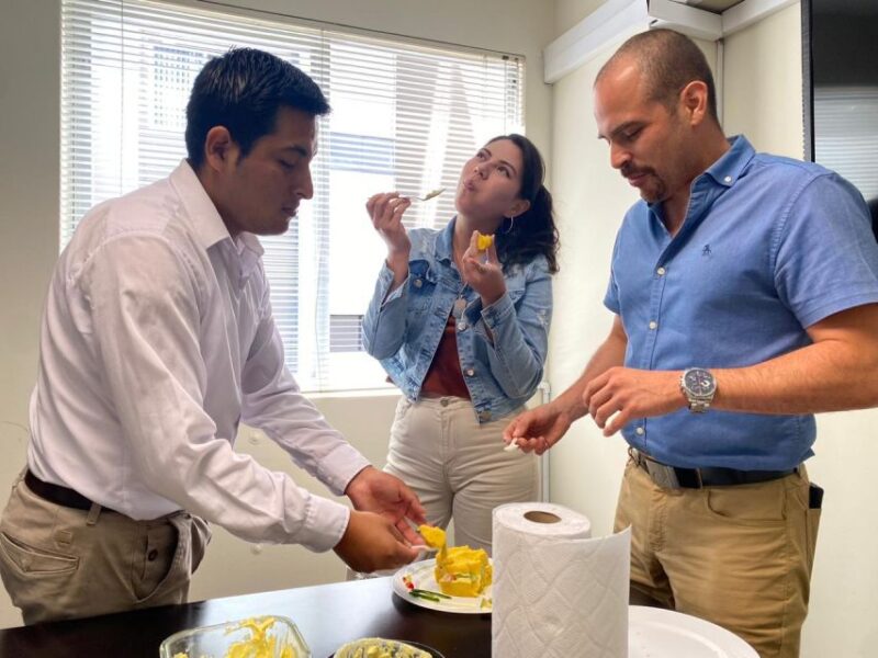 From Marseille: Vasarely Museum in Aix & Le Corbusier Tour - Tour Pacing and Highlights: What Makes This Tour Stand Out