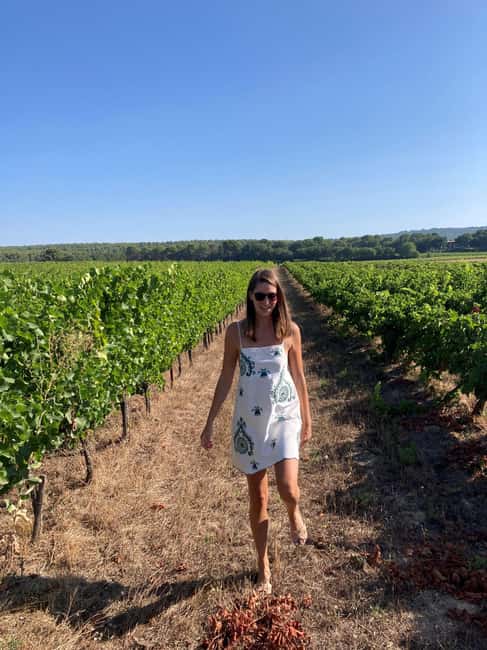 From Marseille: Wine and Scenery around Aix-en-Provence - Scenic Drive Through Provence’s Vineyards