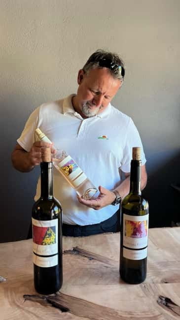 From Marseille: Wine and Scenery around Aix-en-Provence - Exploring Aix-en-Provence: A Provençal Treasure