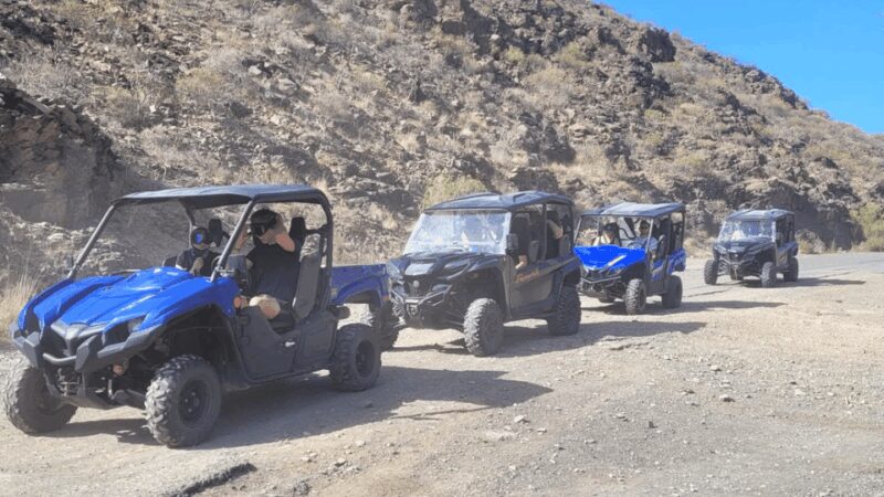 From Maspalomas: Volcanic Landscapes 4-Seater Buggy Tour - Stops for Photos, Sightseeing, and Learning