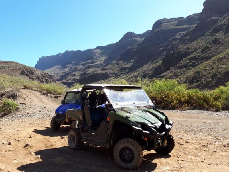 From Maspalomas: Volcanic Landscapes 4-Seater Buggy Tour - Cultural and Natural Insights from the Guides